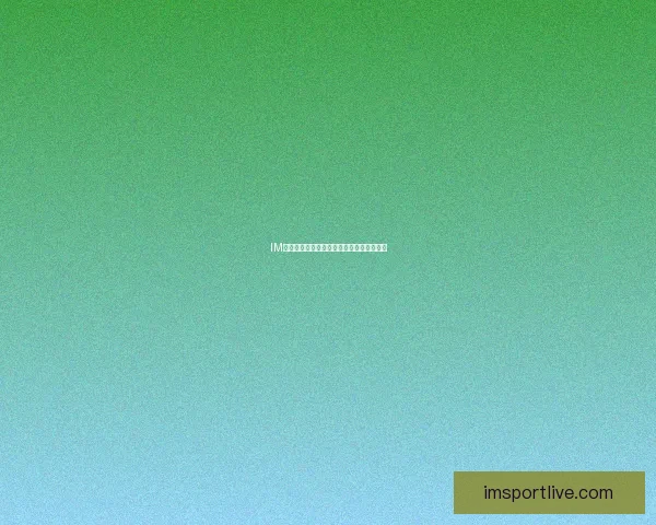 IM体育全新赛事资讯解析与精彩比赛回顾指南