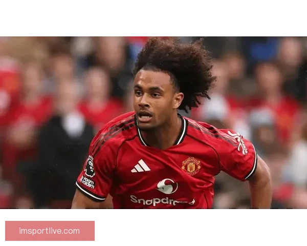 拉杰欲曼联清洗八将筹资一亿齐尔克泽或将成为新核心