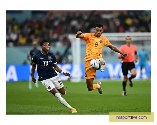 世界杯赛事全攻略：精准竞猜投注策略与热门赛果推荐