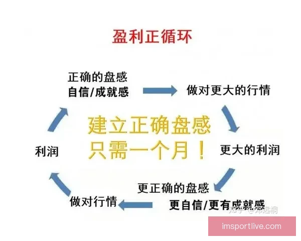 世界杯竞猜游戏高手必读全面解析投注技巧与稳健盈利实战指南